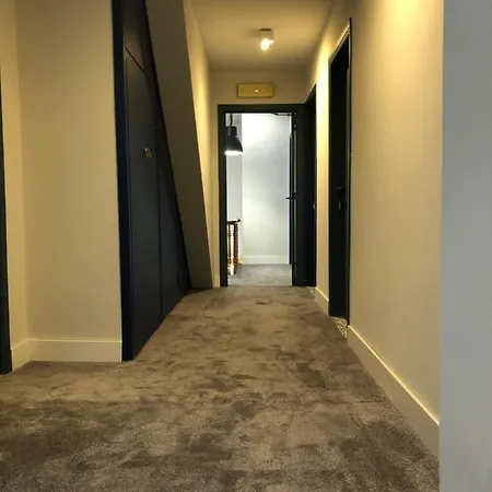 Otel Le Cygne D'argent 3*